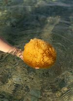 Badspons van natuurlijk materiaal 