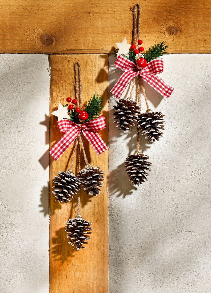 Decoratieve hangers met natuurlijke kegels, set van 2 