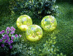 LED-glasbollen "Vlinder", set van 3 