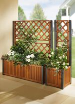 Plantenbak met traliewerk 