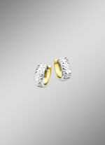 Tweekleurige creolen 