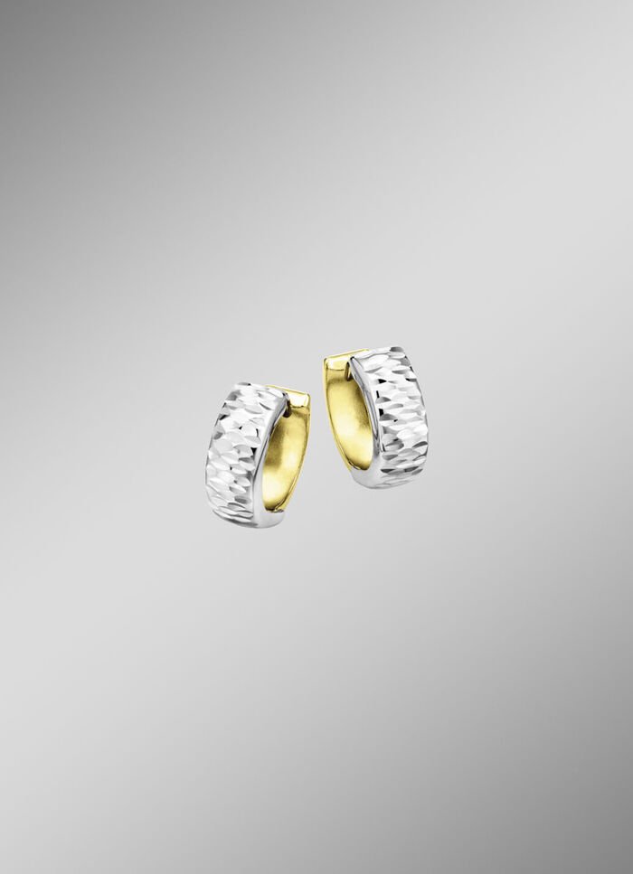 Tweekleurige creolen 