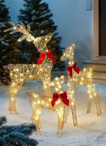 Rendierfamilie, set van 3 