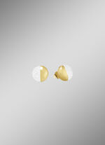 Oorknopjes in twee kleuren 