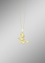 Betoverende hanger met heks 