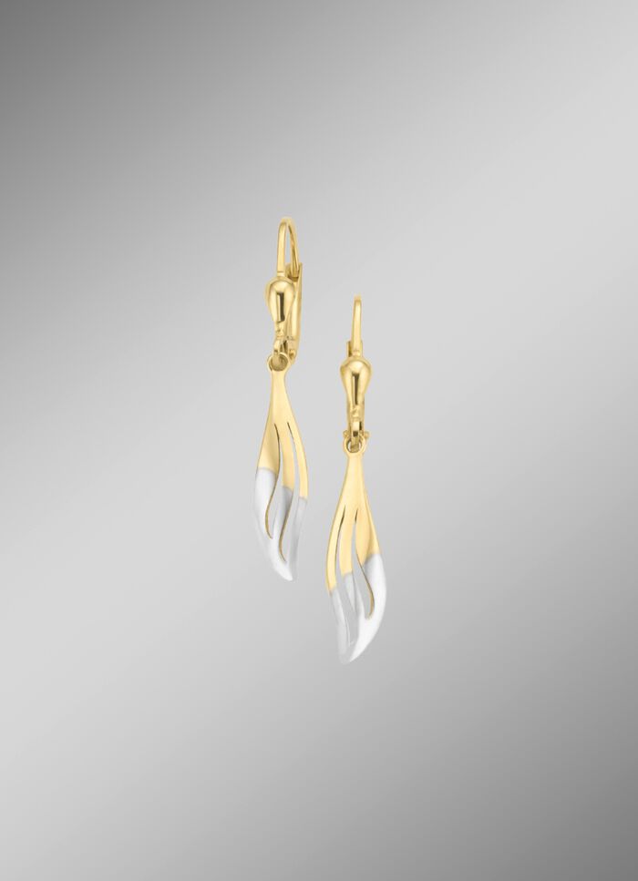 Klassieke, glanzende oorbellen in tweekleurig 