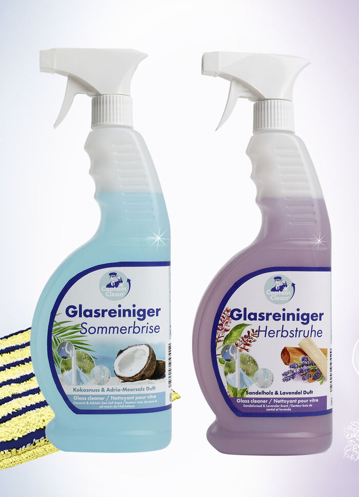 Glasreiniger Set 
