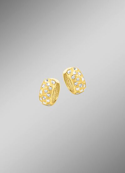 Tweekleurige creolen 