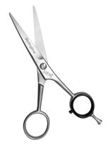 Professionele haarschaar 