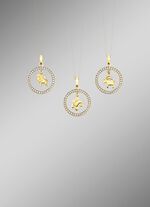 Gouden dierenriemhanger met zirkonia 