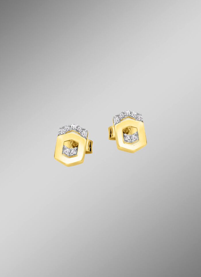 Moderne oorbellen met zirkonia 