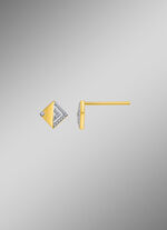 Prachtige oorbellen met diamanten 