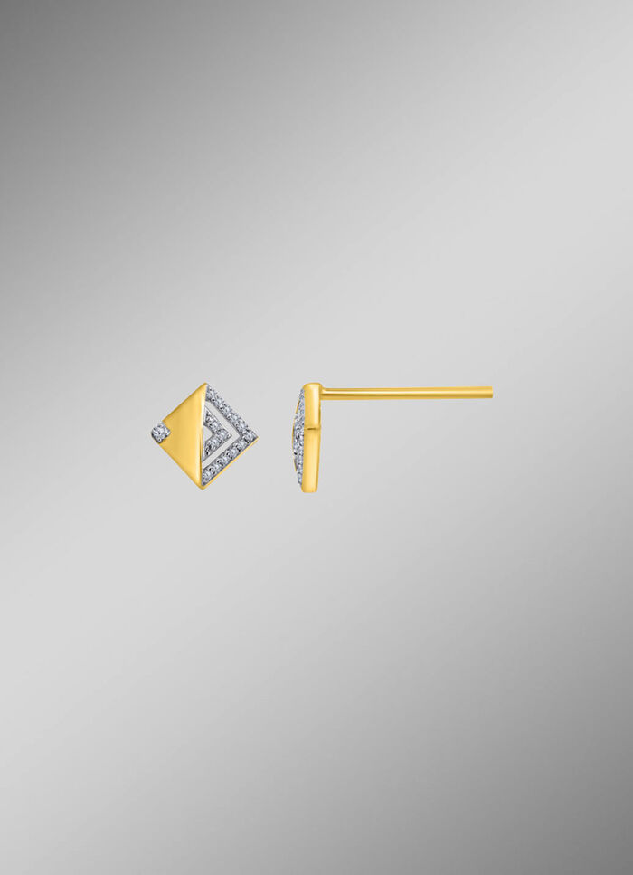 Prachtige oorbellen met diamanten 