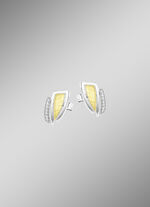 Moderne oorbellen in twee kleuren met zirkonia 