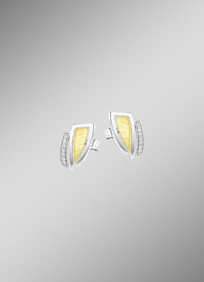 Moderne oorbellen in twee kleuren met zirkonia 