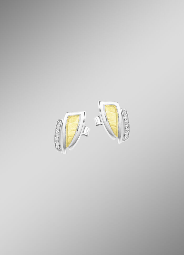 Moderne oorbellen in twee kleuren met zirkonia 