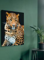 Canvas schilderij op spieraam 