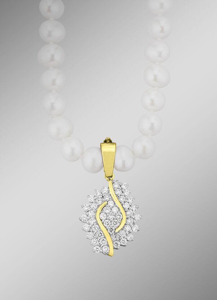 Mooie hanger met clipoogje 