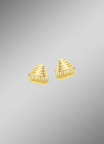 Prachtige oorbellen met groefontwerp 