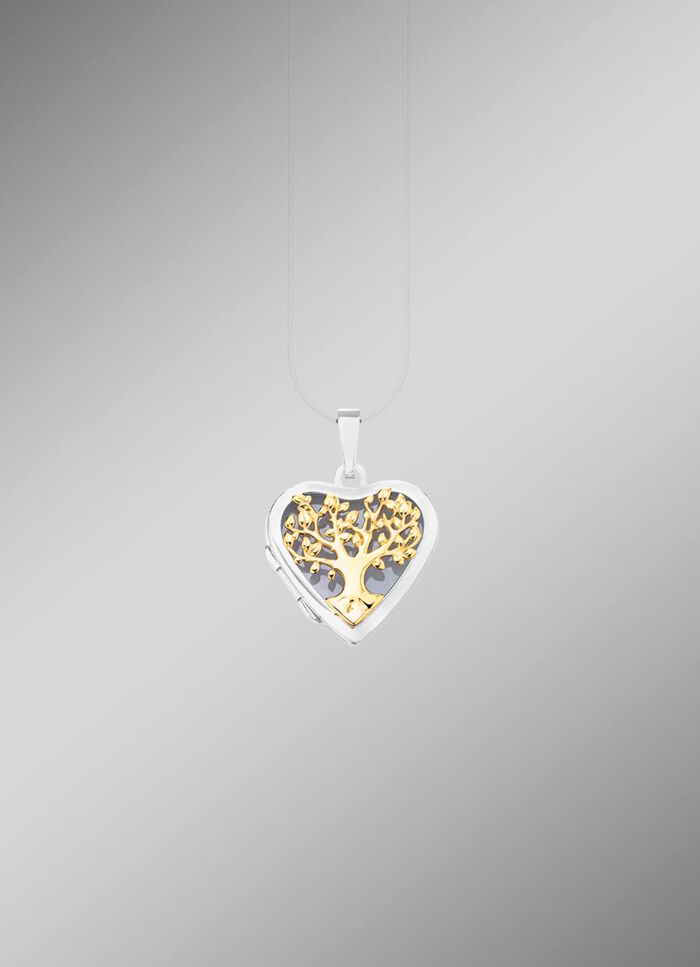 Hartvormig medaillon in tweekleurig om te openen 