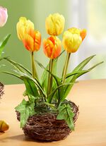 Tulpen in een rieten mand GEEL-ORANJE