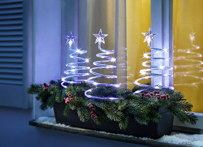 Spiraalbomen, set van 3 