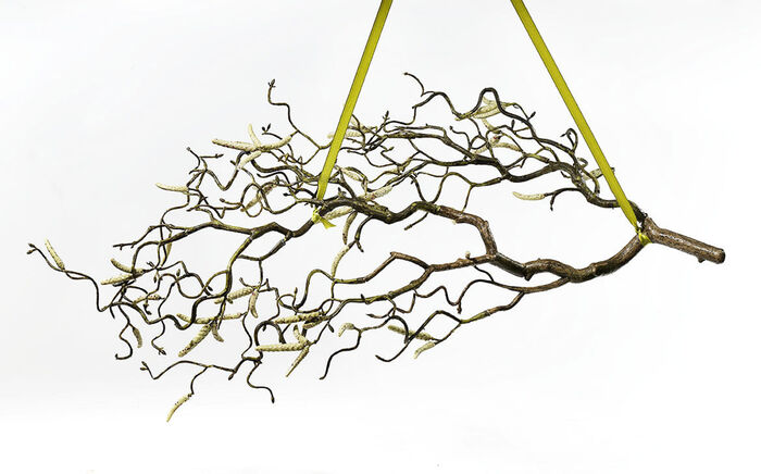 Hazelnoottak van hoogwaardig kunststof 