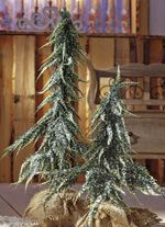 Kerstbomen in een jute zak