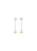 Prachtige oorbellen in twee kleuren 