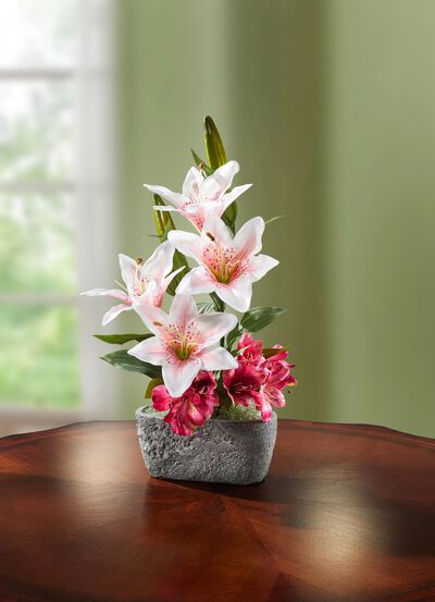 Lelie arrangement in een pot 