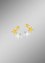 Aantrekkelijke oorknopjes in tweekleurig 