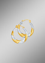 Tweekleurige creoolse oorbellen 