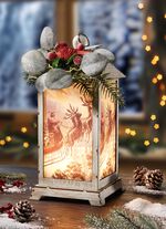 Verlichte lantaarn, op batterijen 