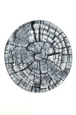 Tapijt in een natuurlijk boomstamontwerp 