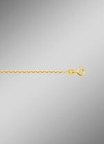 Diamantgeplateerde gouden ankerketting 