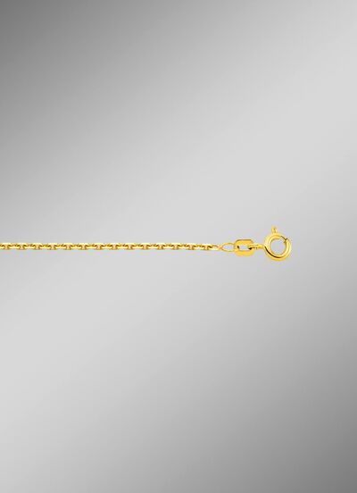 Diamantgeplateerde gouden ankerketting 