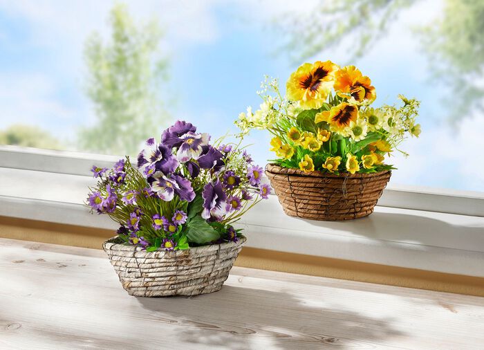 Viooltjes en madeliefjes in een rieten mand GEEL