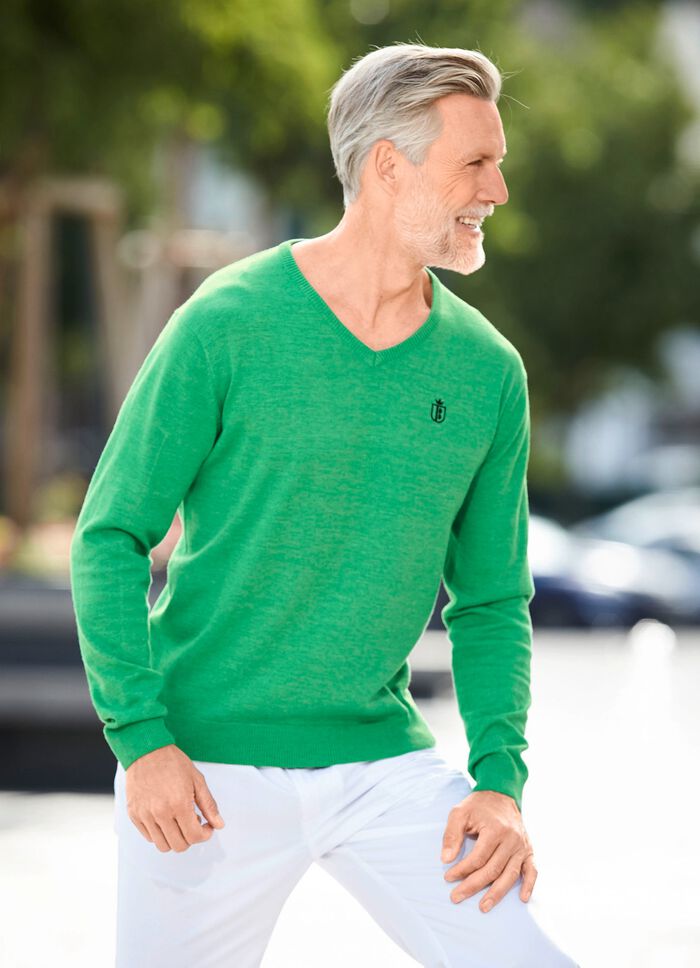 Modieuze trui met V-hals in 6 kleuren 