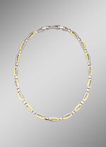 Tweekleurige titanium ketting 