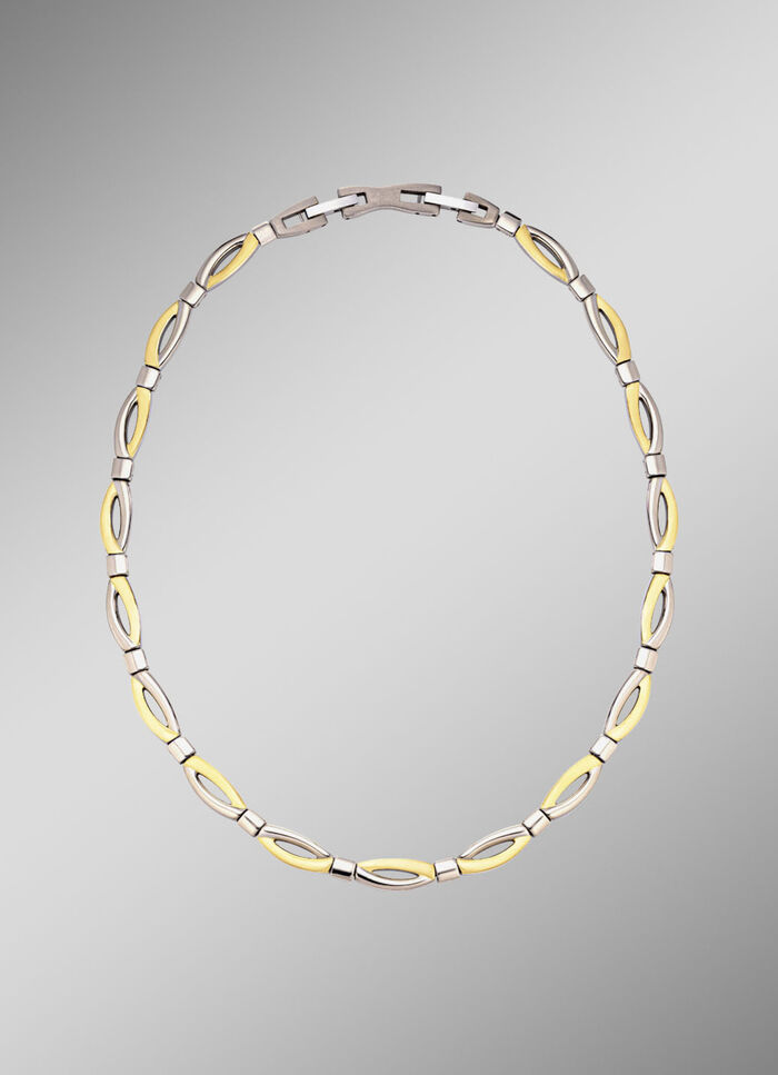 Tweekleurige titanium ketting 