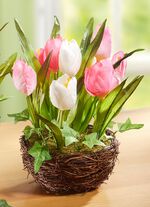 Tulpen in een rieten mand ROZE-WIT