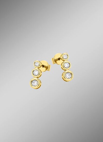 Elegante oorbellen met diamanten 