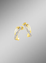 Prachtige oorbellen met diamanten 