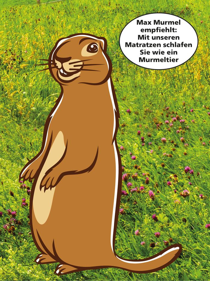 7-zone Bonnell binnenveringsmatras van ventilator 