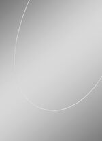 Witgouden Venezia ketting 