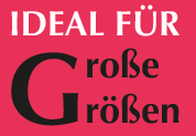 Logo_IdealfürGroßeGrößen